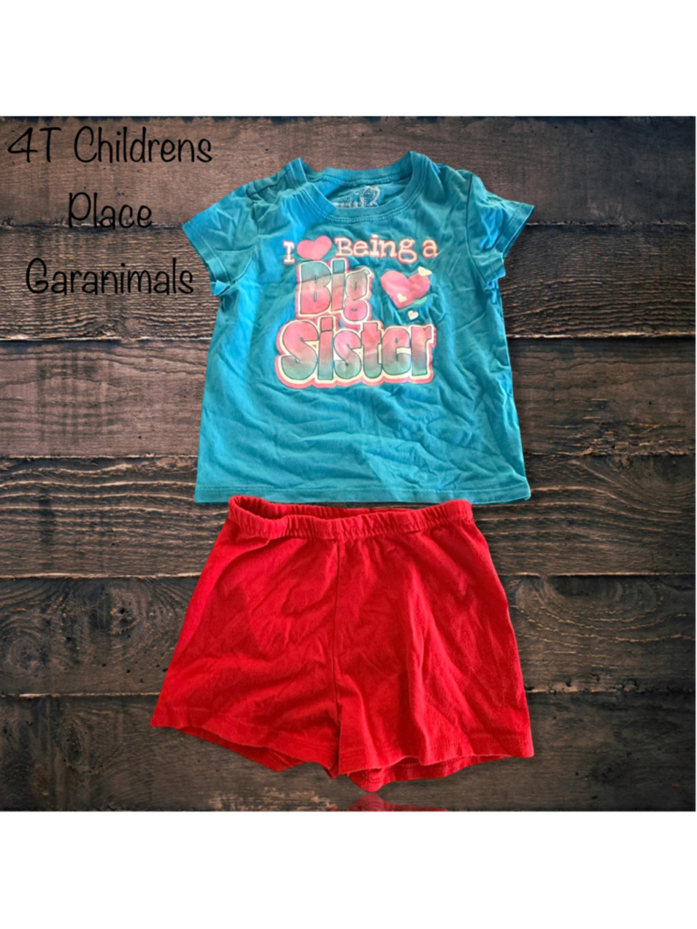 4T Children's Place/Garanimals Set